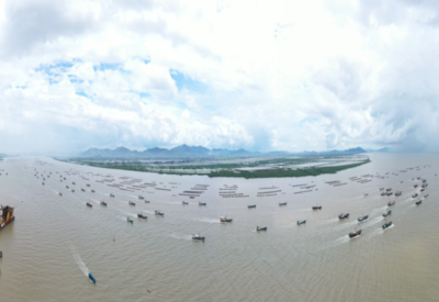 向海而興 大灣區以科技創新擦亮海水養殖“藍色名片”